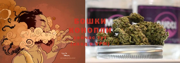 прущие грибы Михайлов