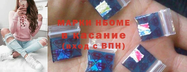 прущие грибы Михайлов