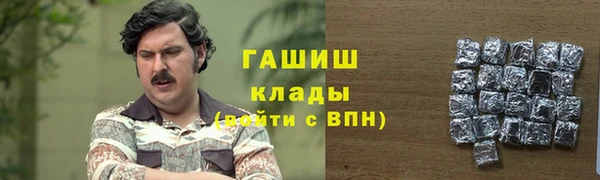 прущие грибы Михайлов