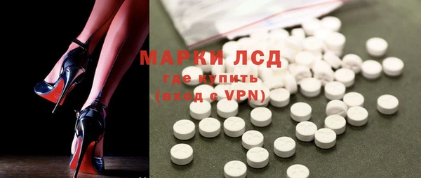 прущие грибы Михайлов