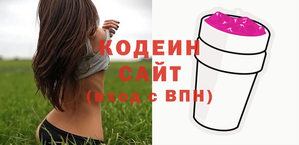 прущие грибы Михайлов
