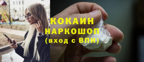 прущие грибы Михайлов