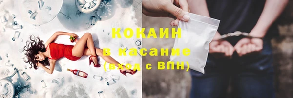 прущие грибы Михайлов
