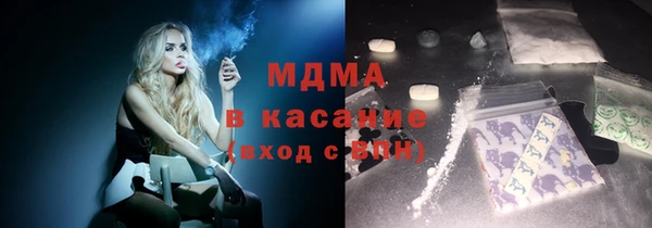 прущие грибы Михайлов