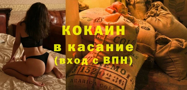 прущие грибы Михайлов