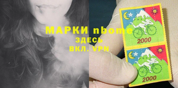 прущие грибы Михайлов