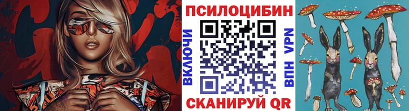 Галлюциногенные грибы Psilocybe  купить закладку  Старый Оскол 